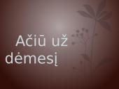 J.V. Gėtės „Faustas“ (išsami informacija apie kūrinį) 16 puslapis