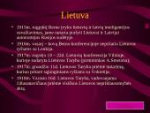 Išsamios Pirmojo pasaulinio karo skaidrės. 20 puslapis