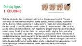 Žmogaus dantys  12 puslapis