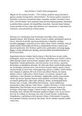 Don Kichoto ir Sančio panso palyginimas