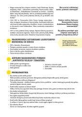 Antanas Baranauskas (išsamus konspektas) 2 puslapis