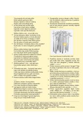 Antanas Baranauskas (išsamus konspektas) 5 puslapis