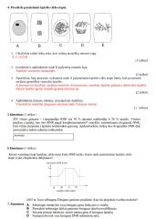 Mejozė ir mitozė (testas) 2 puslapis