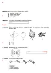 Mejozė ir mitozė (testas) 3 puslapis
