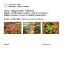 Maisto medžiagos/organizmų mitybinės grupės 2 puslapis