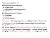 Maisto medžiagos/organizmų mitybinės grupės 4 puslapis