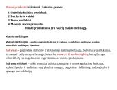 Maisto medžiagos/organizmų mitybinės grupės 5 puslapis