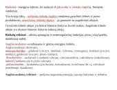 Maisto medžiagos/organizmų mitybinės grupės 6 puslapis