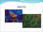 Visi bestuburiai 2 puslapis