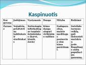 Visi bestuburiai 11 puslapis