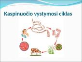 Visi bestuburiai 12 puslapis