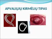 Visi bestuburiai 13 puslapis