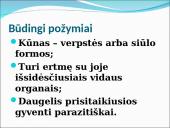 Visi bestuburiai 14 puslapis