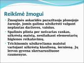 Visi bestuburiai 15 puslapis