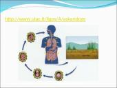 Visi bestuburiai 17 puslapis