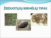 Visi bestuburiai 18 puslapis