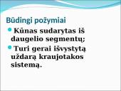 Visi bestuburiai 19 puslapis