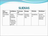 Visi bestuburiai 20 puslapis