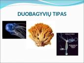 Visi bestuburiai 3 puslapis