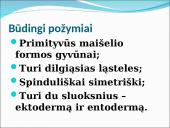 Visi bestuburiai 4 puslapis