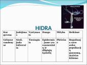 Visi bestuburiai 7 puslapis