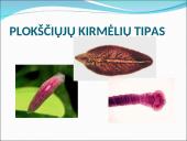 Visi bestuburiai 8 puslapis