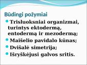 Visi bestuburiai 9 puslapis