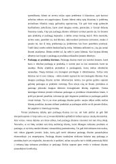 Paslaugų dizaino svarba socioekonominiame kontekste, vertės kūrimo aspektai 19 puslapis