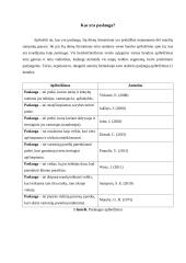 Paslaugų dizaino svarba socioekonominiame kontekste, vertės kūrimo aspektai 3 puslapis