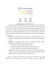 Paslaugų dizaino svarba socioekonominiame kontekste, vertės kūrimo aspektai 6 puslapis