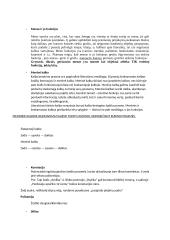 Literatūros teorijos konspektas 2 puslapis