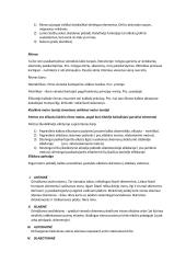 Literatūros teorijos konspektas 11 puslapis