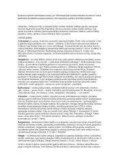 Literatūros teorijos konspektas 14 puslapis