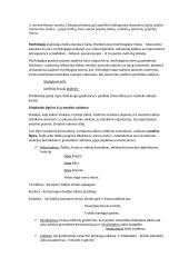 Literatūros teorijos konspektas 15 puslapis