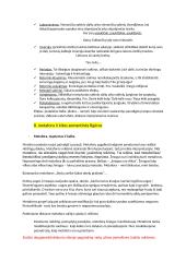 Literatūros teorijos konspektas 16 puslapis