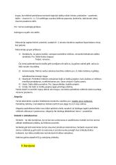 Literatūros teorijos konspektas 18 puslapis