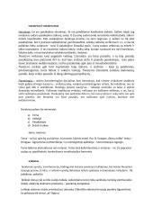 Literatūros teorijos konspektas 19 puslapis