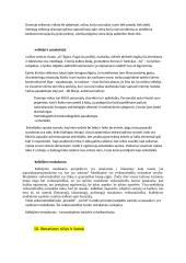 Literatūros teorijos konspektas 20 puslapis