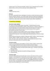 Literatūros teorijos konspektas 3 puslapis