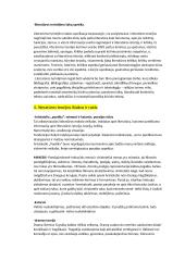 Literatūros teorijos konspektas 4 puslapis