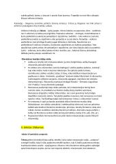 Literatūros teorijos konspektas 5 puslapis