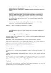 Literatūros teorijos konspektas 6 puslapis