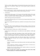 Literatūros teorijos konspektas 8 puslapis