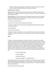 Literatūros teorijos konspektas 10 puslapis