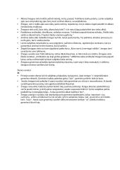 Vytautas Mačernis. Biografinis, kūrybinis kontekstas. 2 puslapis