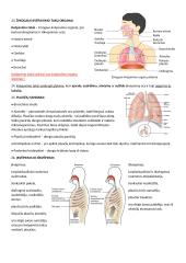 Kvėpavimo konspektas 5 puslapis