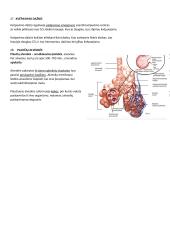 Kvėpavimo konspektas 6 puslapis