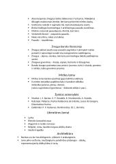 Barokas ir baroko menas 2 puslapis