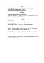 Barokas ir baroko menas 3 puslapis