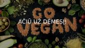 Veganizmo pliusai ir minusai 13 puslapis